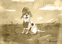 Chien secouriste sur un terrain d&eacute;sol&eacute;